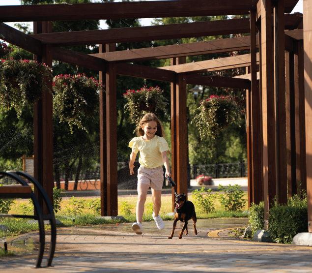 Junior Adventure Zone